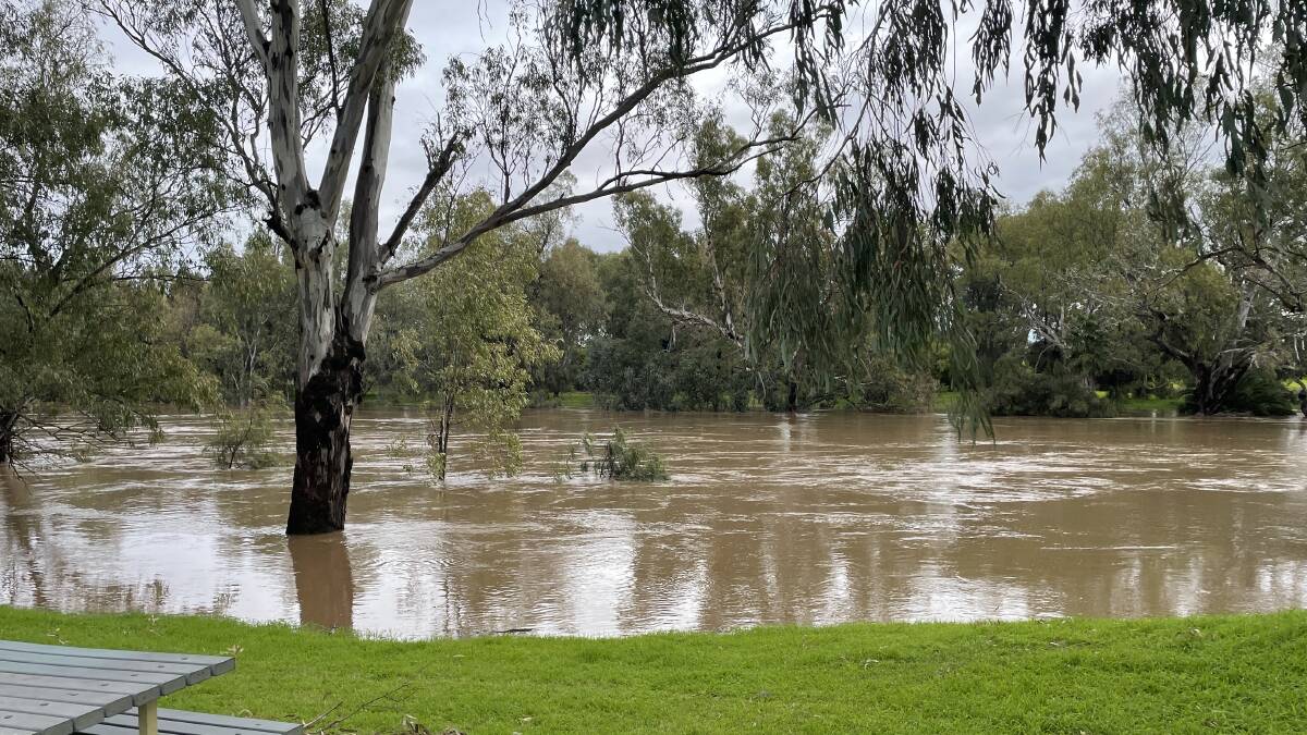 Royal Life Saving warns people not to swim in flood waters. Pictured is the Macquarie River nearing its peak during the July 2022 flood. Picture by Tom Barber