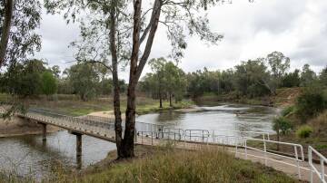 Macquarie River at the bottom of Tamworth Street on Wednesday, November 29. Picture by Belinda Soole