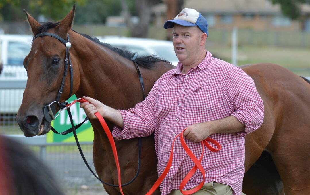 HAVING A CRACK: Mick Plummer, pictured with Quite Frankly, will have two runners in Saturday's highway at Rosehill. Photo: NICK McGRATH