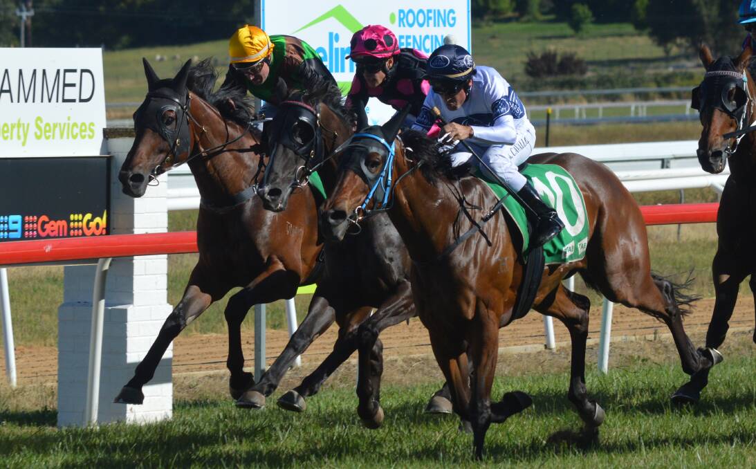 EDGING HOME: (From left) Eventual fourth-finisher Cowboys Karma and third finisher Next Level battle for the lead with Allandale Stud Cup champion Meraki Miss. Photo: MATT FINDLAY