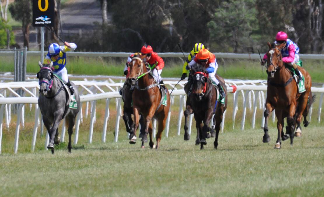 GUTSY: Big grey Go One More (far left) finds an extra effort to salute in the fifth at Racing Orange's Poet's Race Day on Friday. Photo: NICK McGRATH
