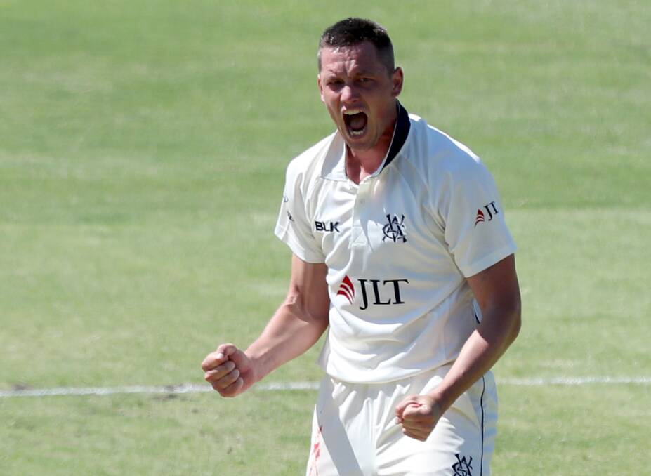 PRESSING CLAIMS: With limited opportunity Chris Tremain, pictured celebrating a wicket during the Sheffield Shield season, was strong in Australia's intra-squad Ashes trial. Photo: AAP/HAMISH BLAIR