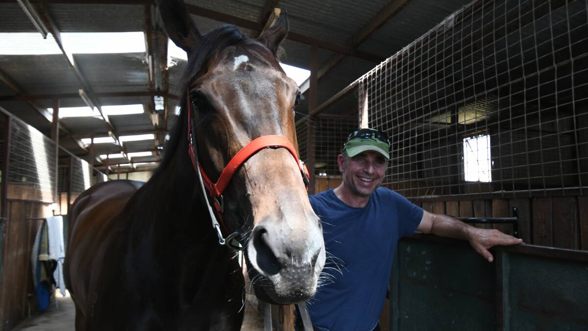 BACK AT HOME: Muscular, five-year-old mare Concours will be the first runner Joe Curran has turned out at Towac Park in more than two decades. Photo: JUDE KEOGH