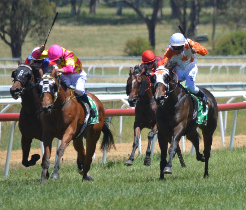 SUPREME RIDE: Anthony Cavallo leads the field home aboard the Alison Smith-trained Supreme Gem (right) in the first at Racing Orange's Christmas at Towac meeting. Photo: MATT FINDLAY