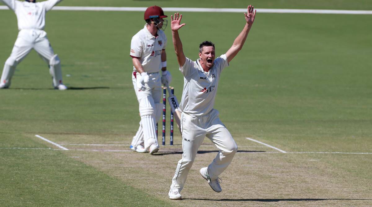 HOWZAT: Victoria's Chris Tremain successfully appeals for the wicket of Jimmy Pierson during his side's come-from-behind win. Photo: AAP/GEORGE SALPIGTIDIS