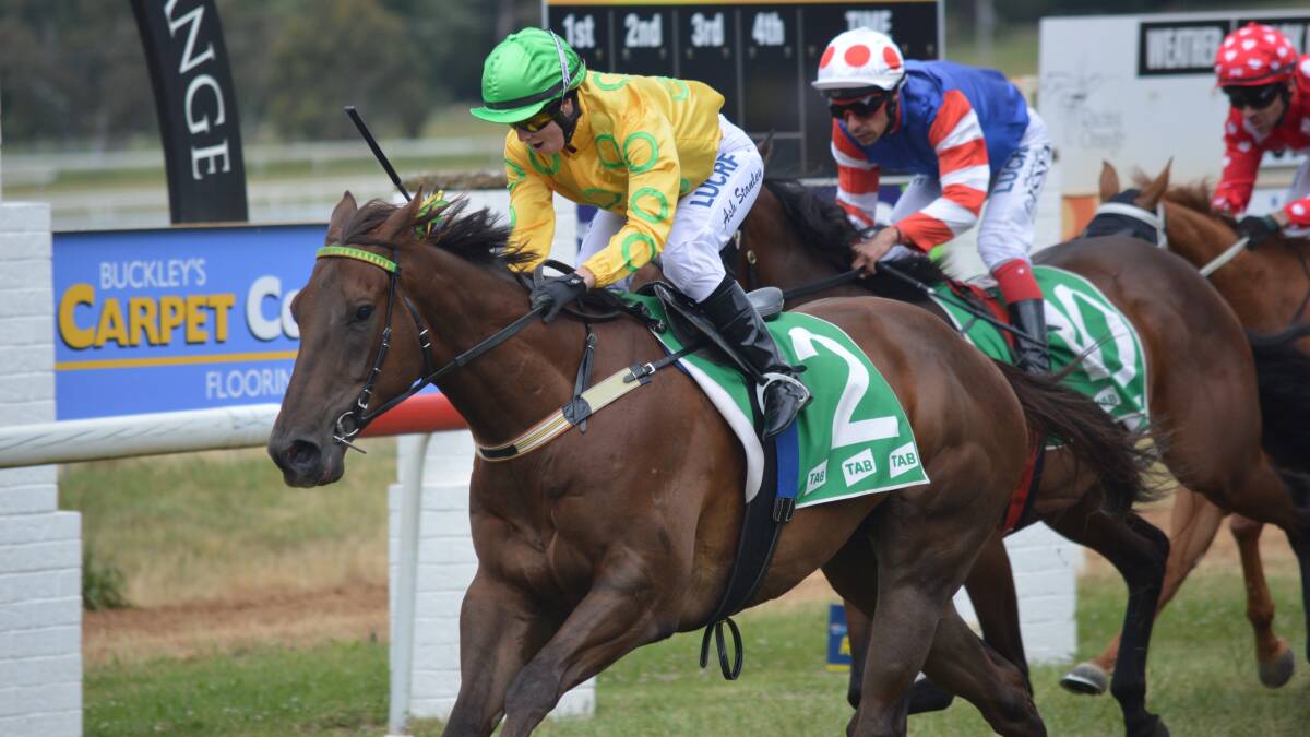 MAIDEN WIN: Bathurst's Ashleigh Stanley passes the post on board Narrow Neck Nelson, which she was riding for trainer-father Peter. Photo: MATT FINDLAY