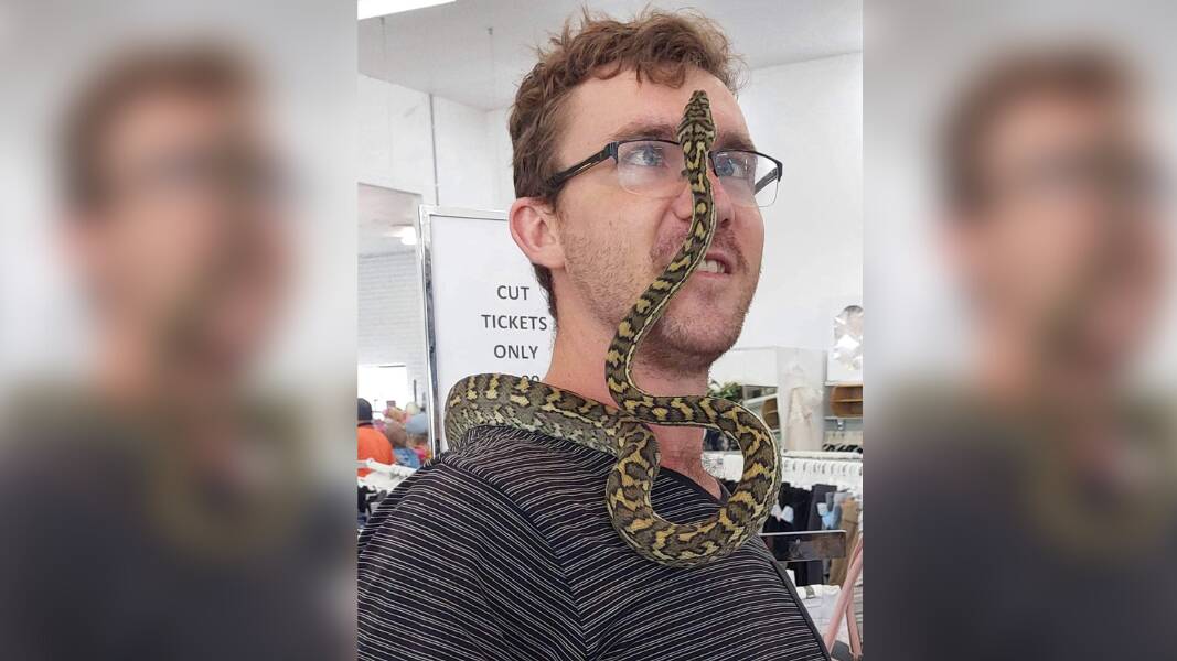 Thomas Robinson handled a carpet python which made its way into a Capalaba op-shop. Picture supplied