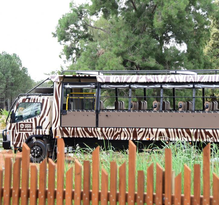 dubbo zoo safari bus