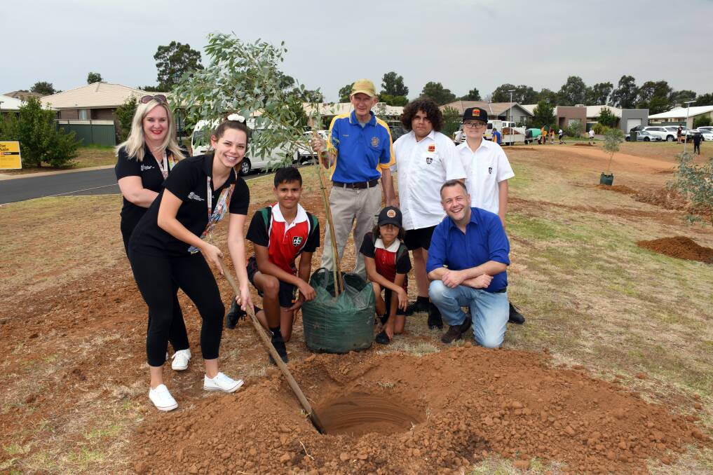 PLANTING: Kylee Caton, Kasey Kelly, Roger King, Stuart Gibson, Ruben Lemon, Bailey Ross, Mark Lawson and Ben Shields planting one of the 13 new trees which will boost the shade in the park. Photo: BELINDA SOOLE