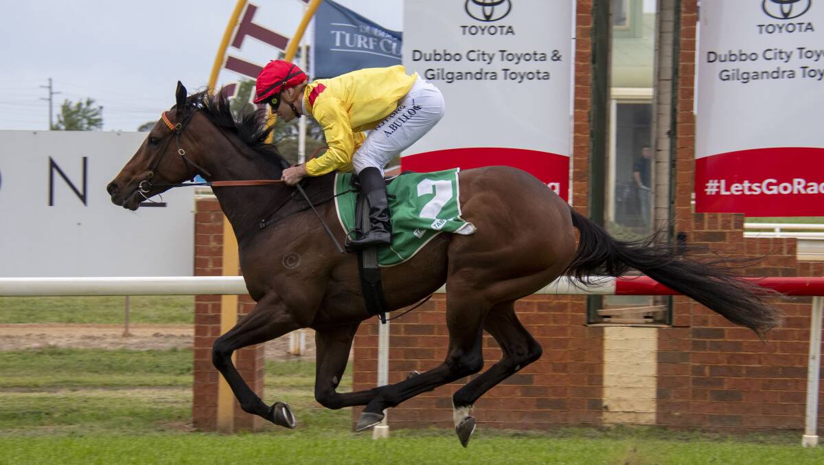Gallery: Coonamble Cup moves to Dubbo. Pictures by Belinda Soole 