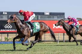 Talkachino won at Dubbo Turf Club on Tuesday afternoon. Picture by Belinda Soole