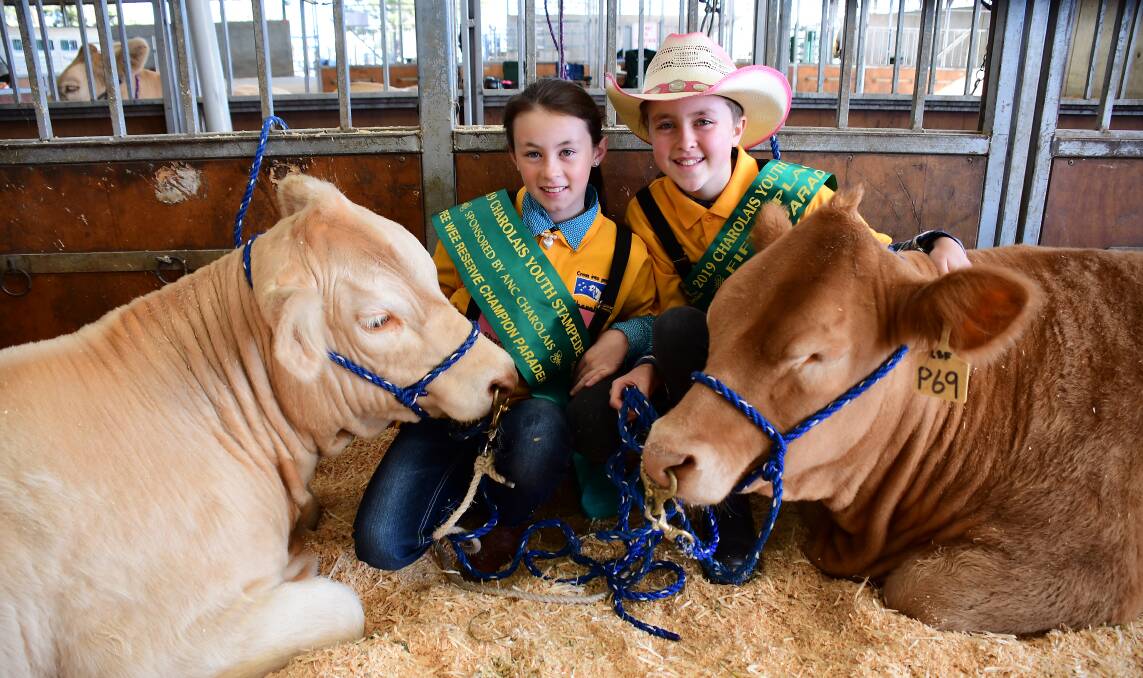 Sashed: Sharnie Franco and Laylah Goldsmith Ryffel earned recognition at the Charolais Youth Stampede at Dubbo. Photo: BELINDA SOOLE