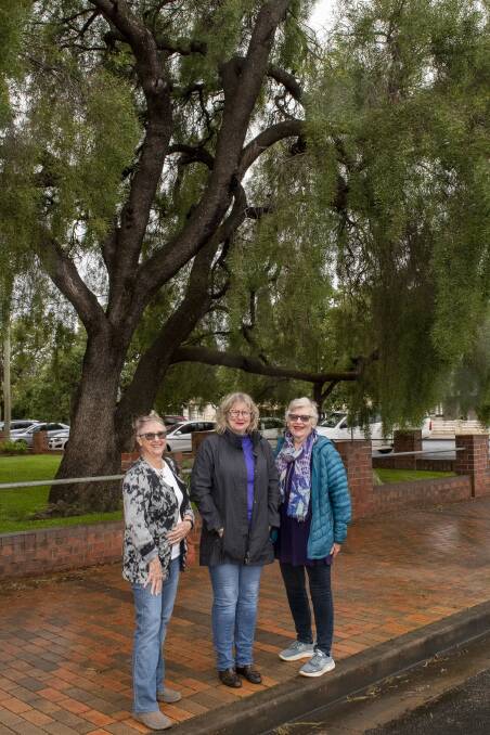 SAVE OUR TREES: Narelle Grant, Belinda Edmondson and Barbara Sutherland are passionate about Dubbo's street trees. Picture: BELINDA SOOLE 