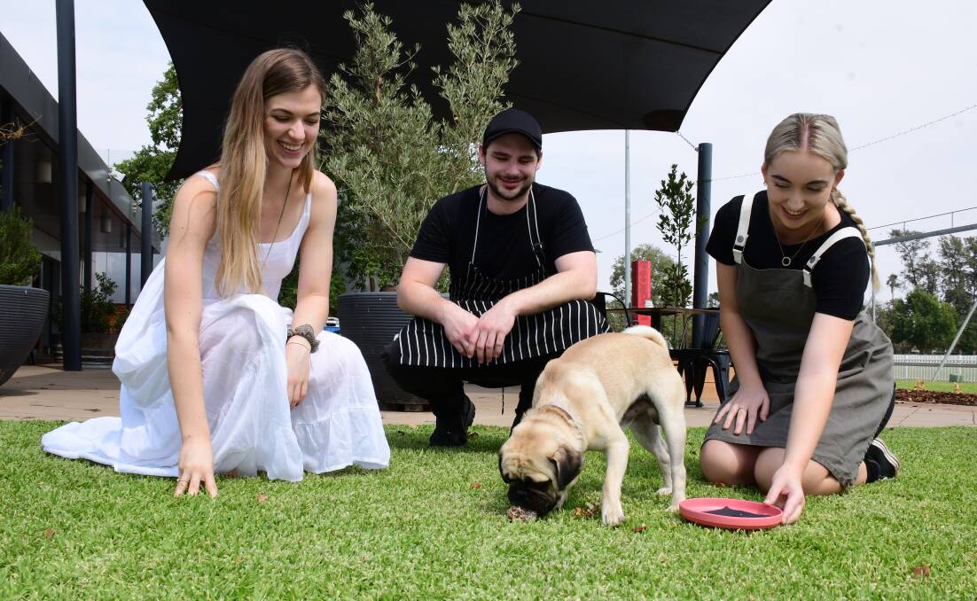The Gallery Cafe has created Dubbo's first dog menu