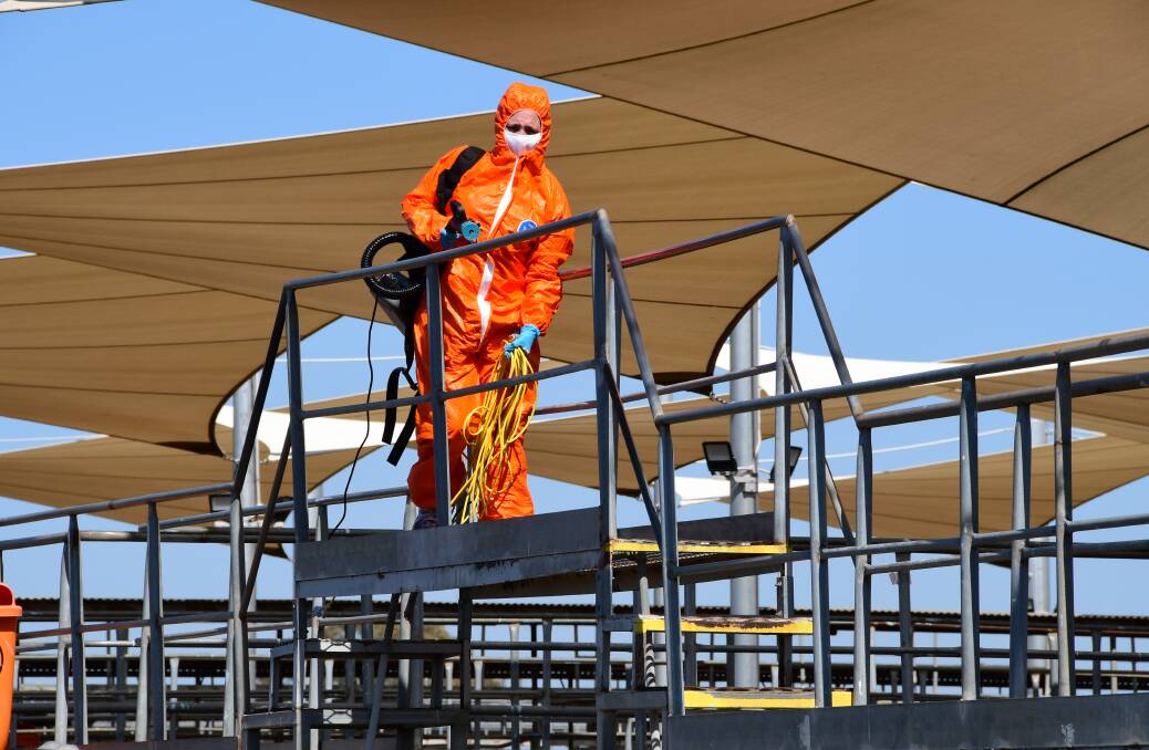 COVID CLEAN: Specialist COVID-29 cleaners at the Dubbo Regional Livestock Markets where a worker tested positive on Thursday, August 26. Photo: BELINDA SOOLE