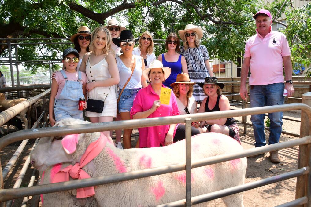 THINK PINK: Kylie Walsh and her colleagues with Shane Bolton and the two sheep she won at the charity auction. Photo: BELINDA SOOLE 