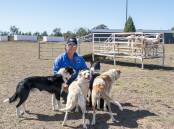 Jon Cantrall with his sheepdogs Wing, Lexie, Boots and Tyson. Picture by Belinda Soole
