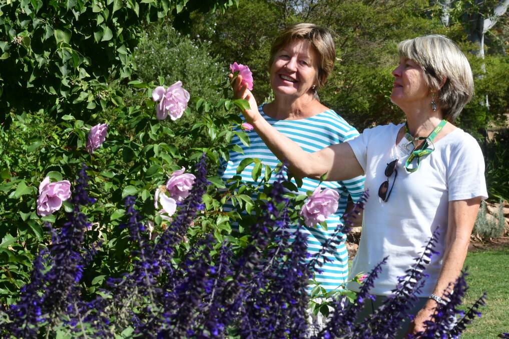 NATURAL BEAUTY: Margaret Beer shows her garden to Fran Ellis. It will be open to the  public on Sunday as part of a Can Assist fundraiser. Photo: BELINDA SOOLE  