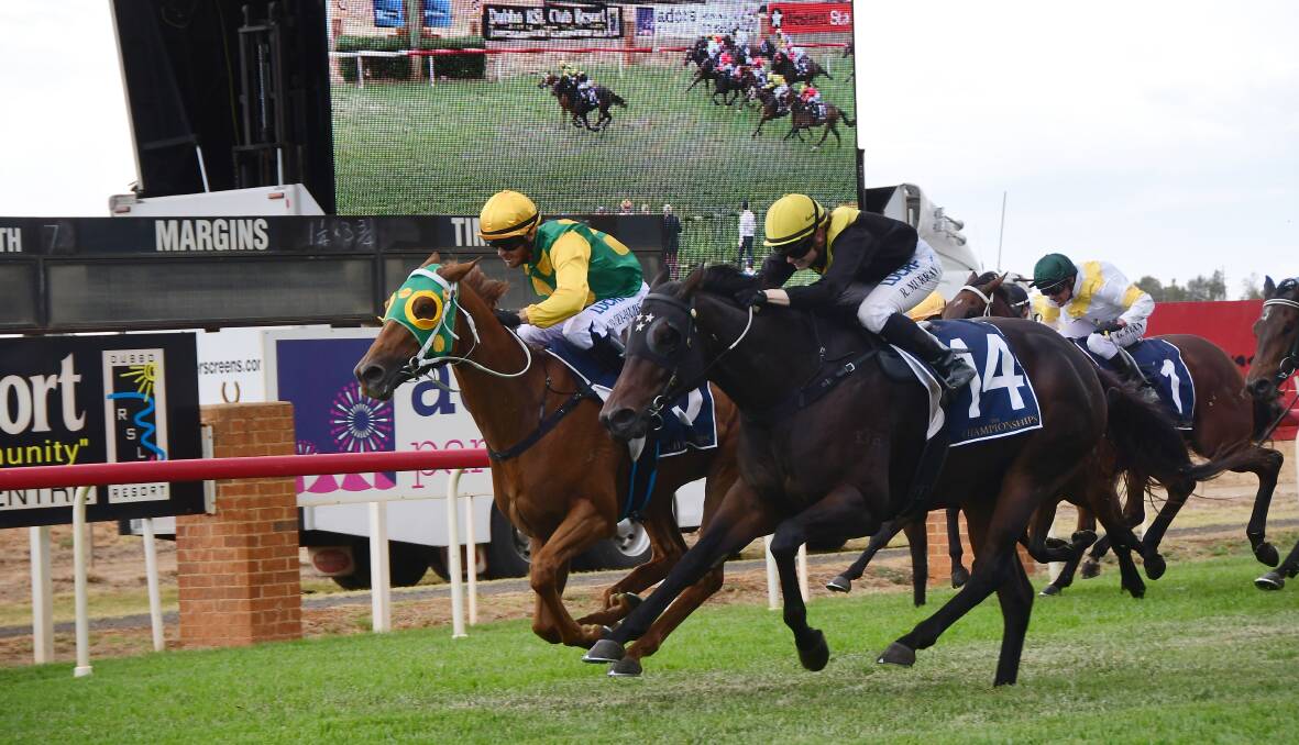 Justin Stanley's Good Host won a thrilling feature on Sunday. Photos: BELINDA SOOLE