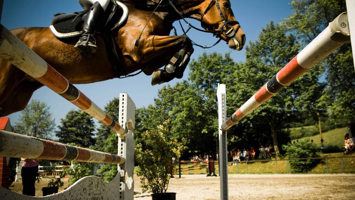No conflict of interest in Olympic team selection, says equestrian body