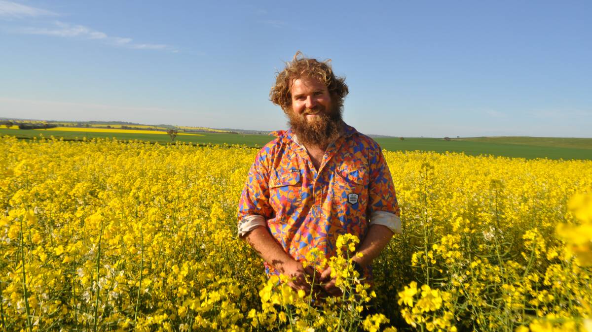 Simon Moloney, Wagga Wagga, with his ATR Gem canola crop planted on April 24. Australia's canola production is expected to rise by 47 per cent this year. 
