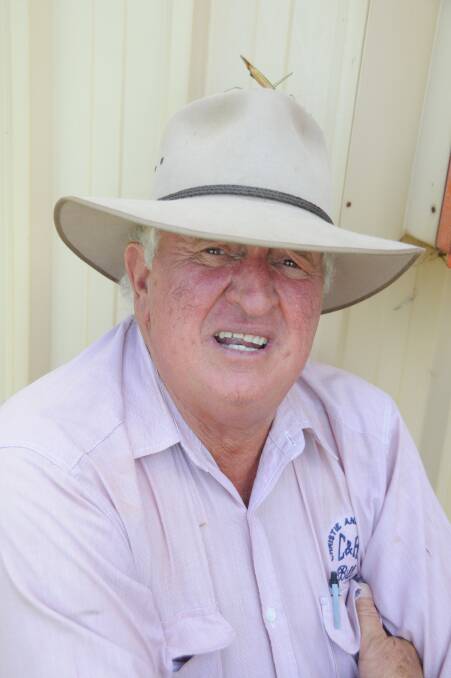 Stock: Agent Bill Tatt discusses how agitation is mounting regarding the implementation of a weighbridge at both Forbes and Dubbo saleyards. Photo: File.  