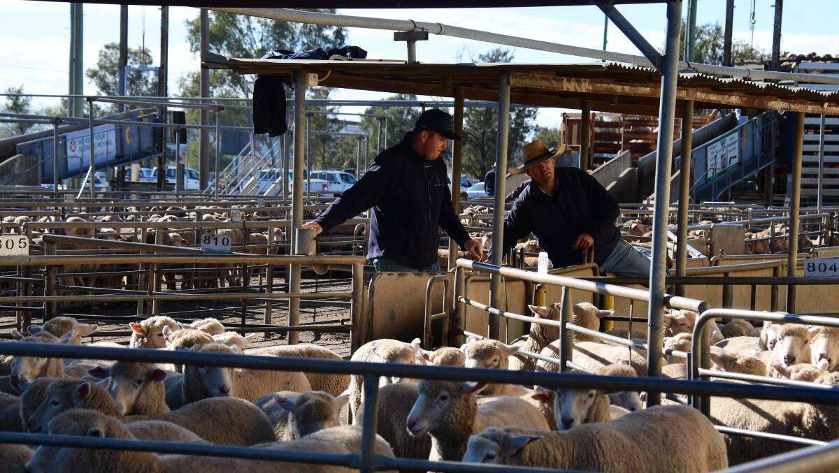 Only those conducting business are being asked to attend the saleyards. Photo: File. 