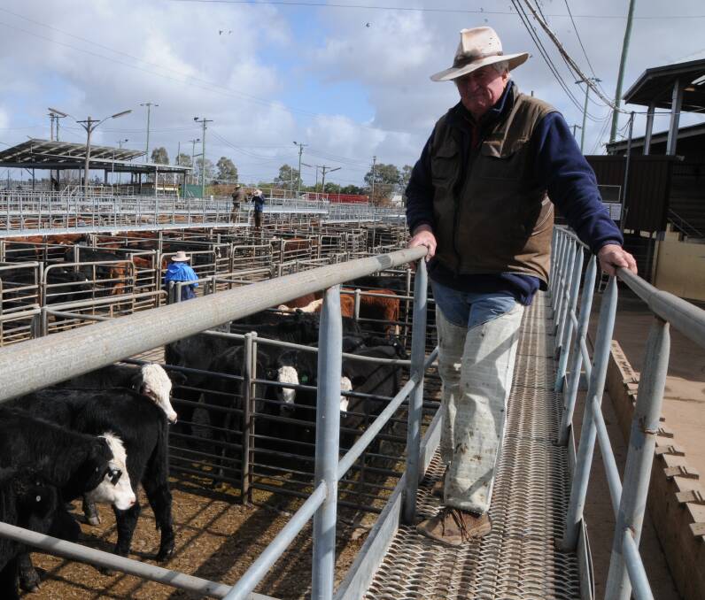 Stock and property: Local agent Bill Tatt discusses the latest industry news from across the region, including the recent cattle and lamb sales. Photo: File.