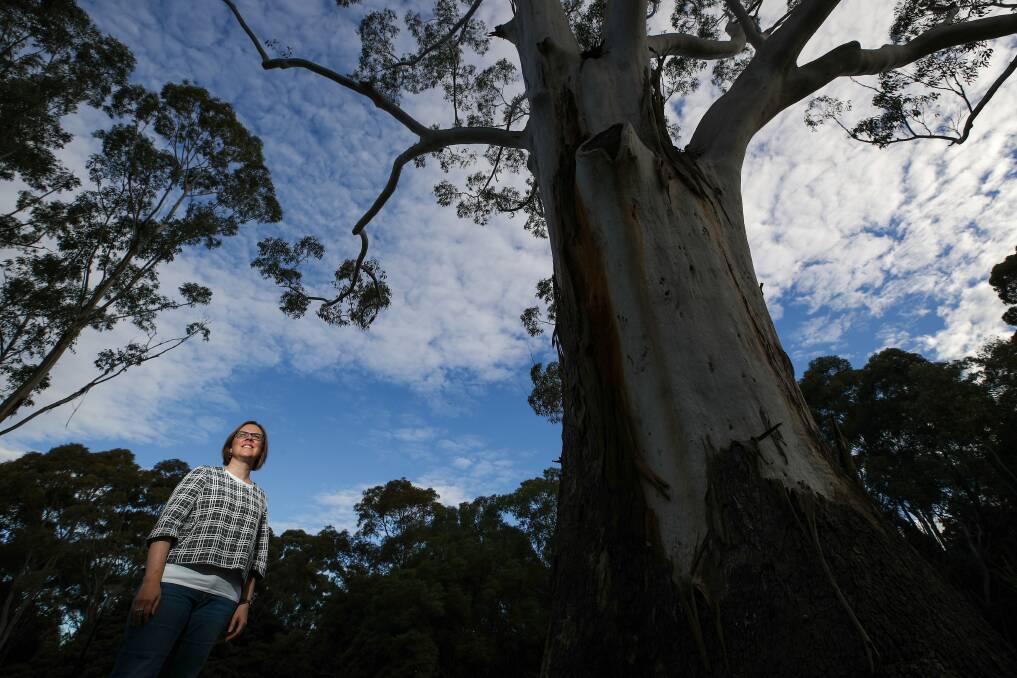 Dr Jennifer Atchison is a researcher at the Australian Centre for Culture, Environment, Society and Space and looking at human relationships with trees. Picture: Adam McLean