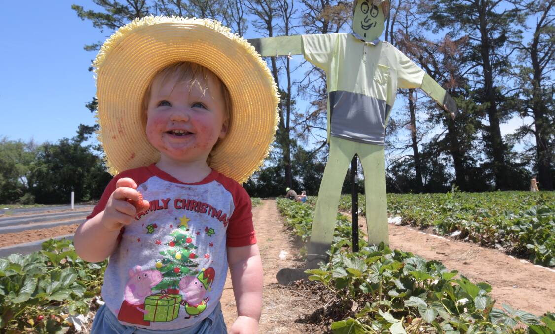 Penelope Gooley having fun in the sun at Huntley Berry Farm on the weekend. Photo: JUDE KEOGH.