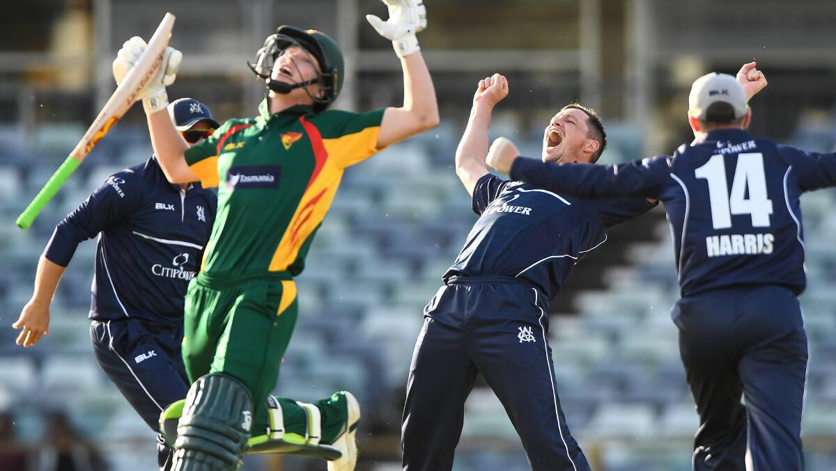 GOT HIM: Chris Tremain celebrates picking up the wicket of Nathan Ellis to snare a one-run win in the Marsh Cup on Monday. Photo: Getty Images via CRICKET VICTORIA. 