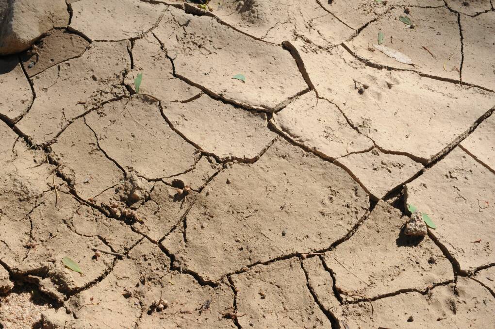 In the grip of drought.