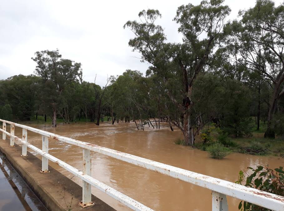 SWOLLEN: On Saturday the Coolbaggie Creek on the Collie Road was swollen because of rain which fell across the previous 24 hours. Photo: CONTRIBUTED 
