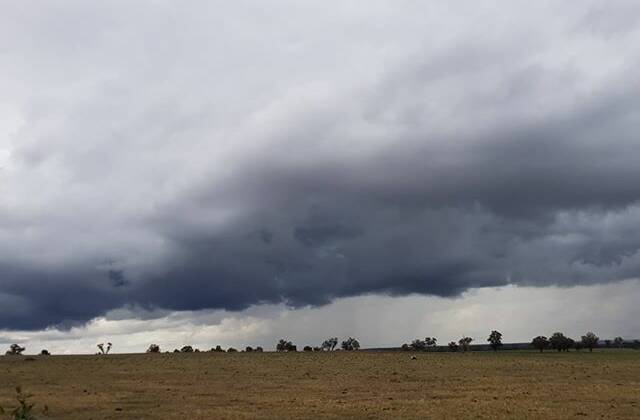 COMING RIGHT AT YOU: Rain rolls into Dubbo to the delight of householders and farmers. Photo: DONNA FORRESTER