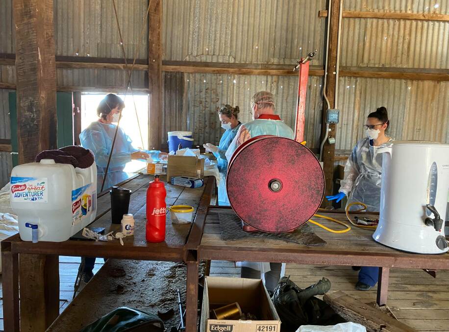 The RFDSSE clinics have been held in a range of venues including a shearing shed near Goodooga. Photo: CONTRIBUTED. 