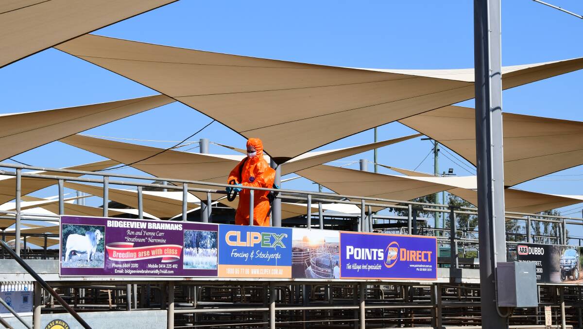 COVID CLEAN: Specialist COVID-19 cleaners at the Dubbo Regional Livestock Markets where a worker tested positive to COVID-19 on Thursday, August 26. Photo: BELINDA SOOLE.
