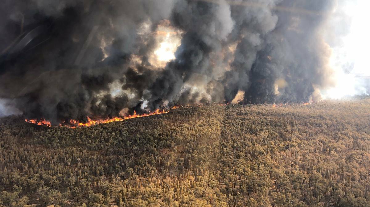 FOREST FIRE: A fire burns in the Goonoo State Forest in October 2019. NSW Rural Fire Service crews assisted by aircraft are back in the forest defending properties threatened by a fire which may have been caused by a lightning strike on Wednesday. 