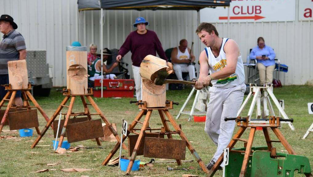 ONE DAY: The woodchopping competition at the 2021 Regional Australia Bank Dubbo Show will only run for a day because of COVID-19 restrictions and a timber shortage. Photo: File