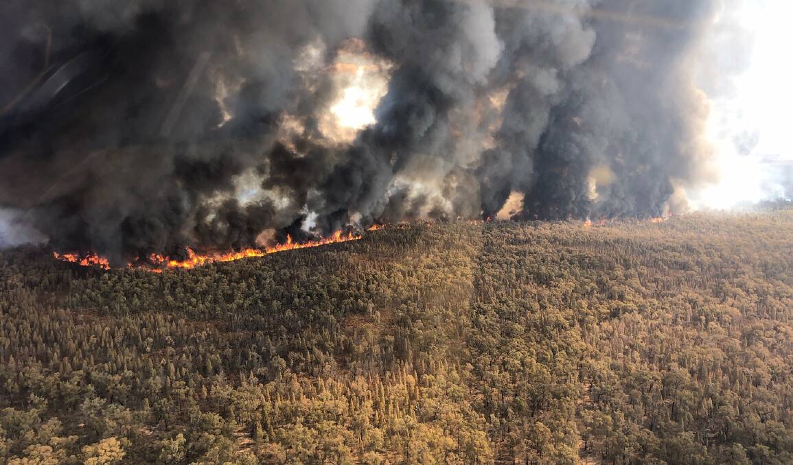 BLAZE: Superintendent Andrew Dillon was also incident controller for the recent bush fire in the Goonoo Forest. Photo: NSW RFS
