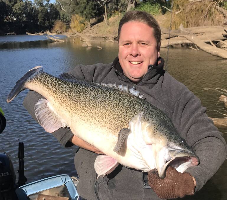 FISH AT RISK: Inland Waterways president Matt Hansen holds a Murray Cod on the Macquarie River. It is among species at risk during the "worst drought on record". Photo: Contributed