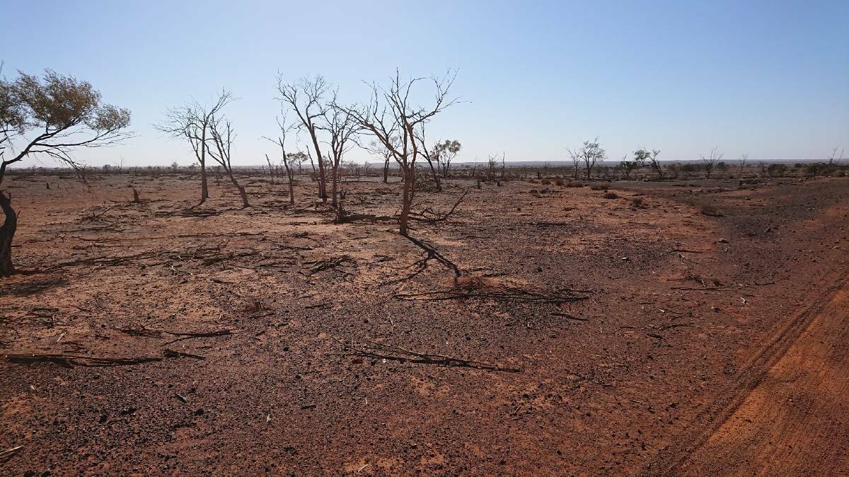 RAVAGED BY DROUGHT: White Cliffs as encountered by NSW Farmers' Association regional manager Caron Chester in March. Photo contributed.