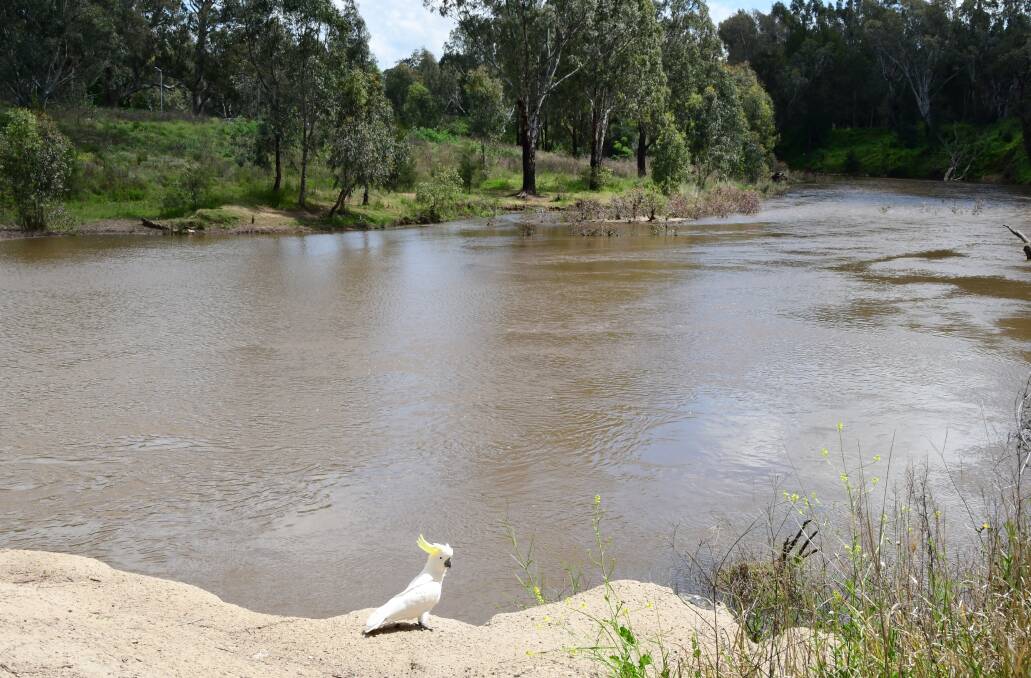 RELEASES: WaterNSW has been releasing 2.6 gigalitres of water each day from Burrendong Dam's flood mitigation zone into the Macquarie River. Photo: BELINDA SOOLE 