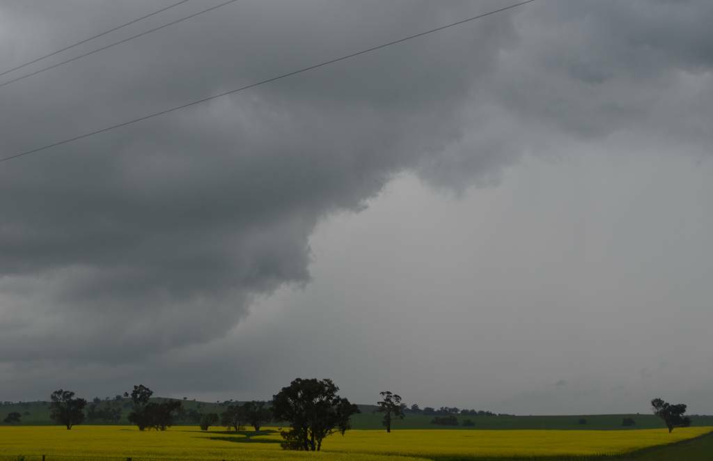 TALLY: Rain at Dubbo last week has lifted the tally for the month to 35.4mm. Photo: FILE.