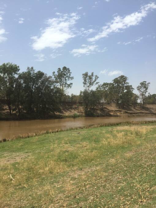 RIVER TURBIDITY: Downpours of rain have led to turbidity in the Macquarie River. Photo: File.