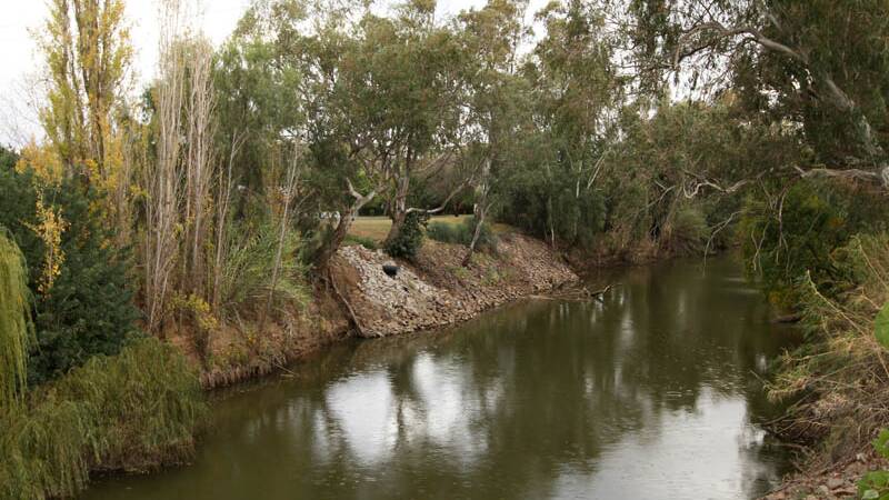 MACQUARIE MATTERS: The campaign aimed at halting water recovery at the northern end of the Murray-Darling Basin is being reactivated after a recommendation by the Murray-Darling Basin Authority to increase its target to 320 gigalitres. Photo: File