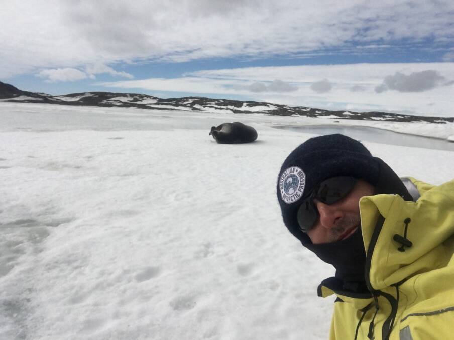 ENCOUNTER: Jamie McGaw comes across a Weddell seal. He is living and working at Davis research station in Antarctica. Photo: Jamie McGaw/ Australian Antarctic Division.