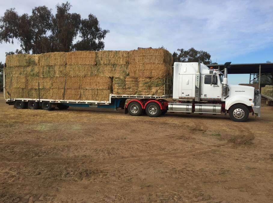 DROUGHT SUPPORT: The state government is introducing new regulations to allow trucks to carry more hay following the fining of drivers for minor breaches of Roads and Maritime Services length and height rules. 