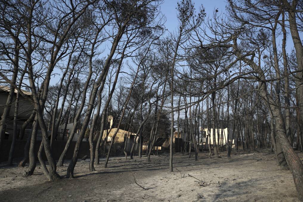 WILDFIRES: On Thursday the death toll from wildfires in Greece stood at 81 with 186 people seriously injured and about 100 people missing. Photo: THANASSIS STAVRAKIS