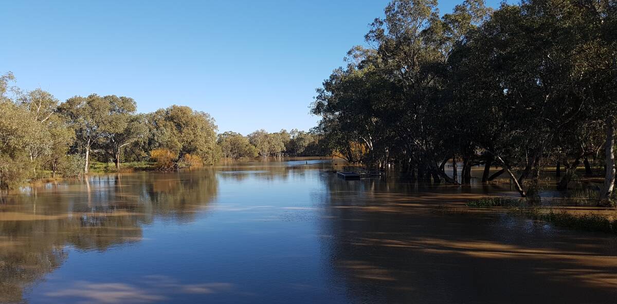 SWOLLEN RIVER: The Bogan River was among the Central West rivers that rose after heavy rain in September. Photo: Grace Ryan