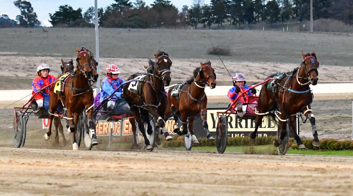 LINE THEM UP: Lucky Lyla (right) holds off a line of challengers on the way to victory at Bathurst Paceway. Photo: ALEXANDER GRANT